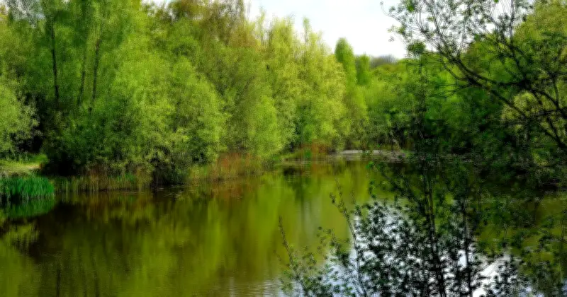 UK Beach at West Sussex Lake Closed After Multiple Illnesses Reported