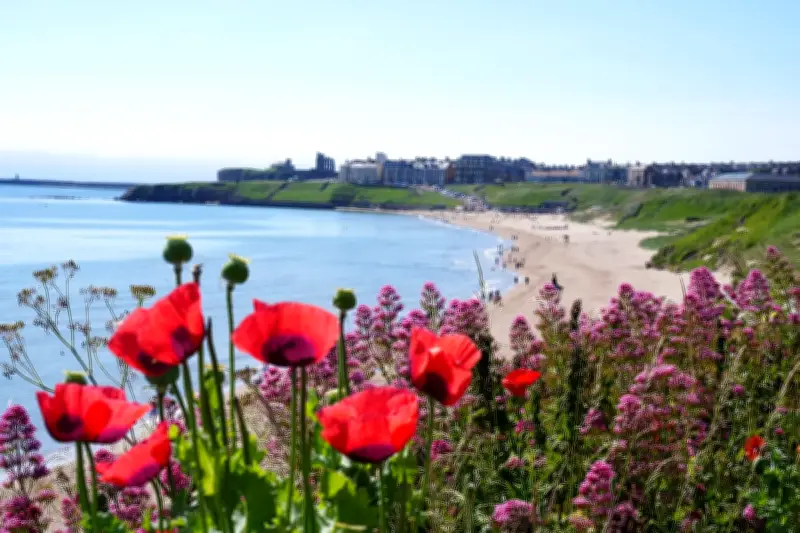 UK Braces for Record-Breaking 38C Heatwave as Extreme Warning Expanded