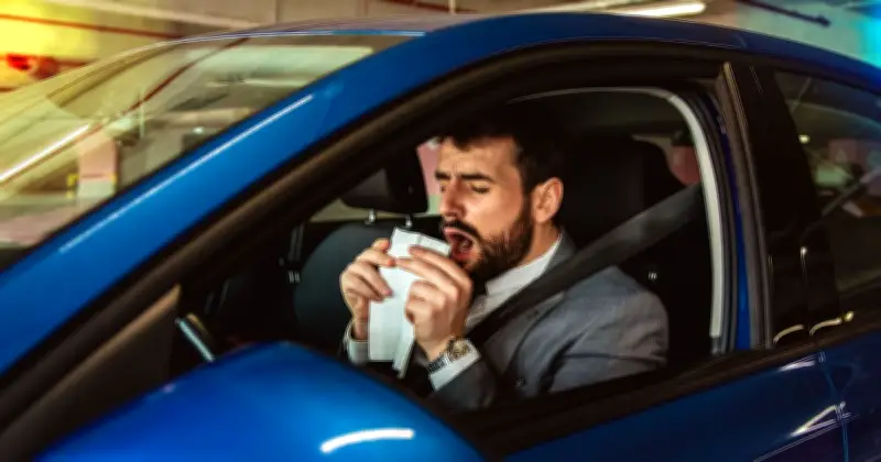 UK drivers warned of £1,000 fine as pollen bomb hits
