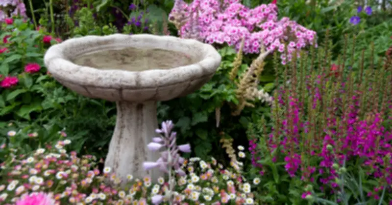 UK Gardeners Urged to Move Bird Baths to Shade Before 40C Heatwave
