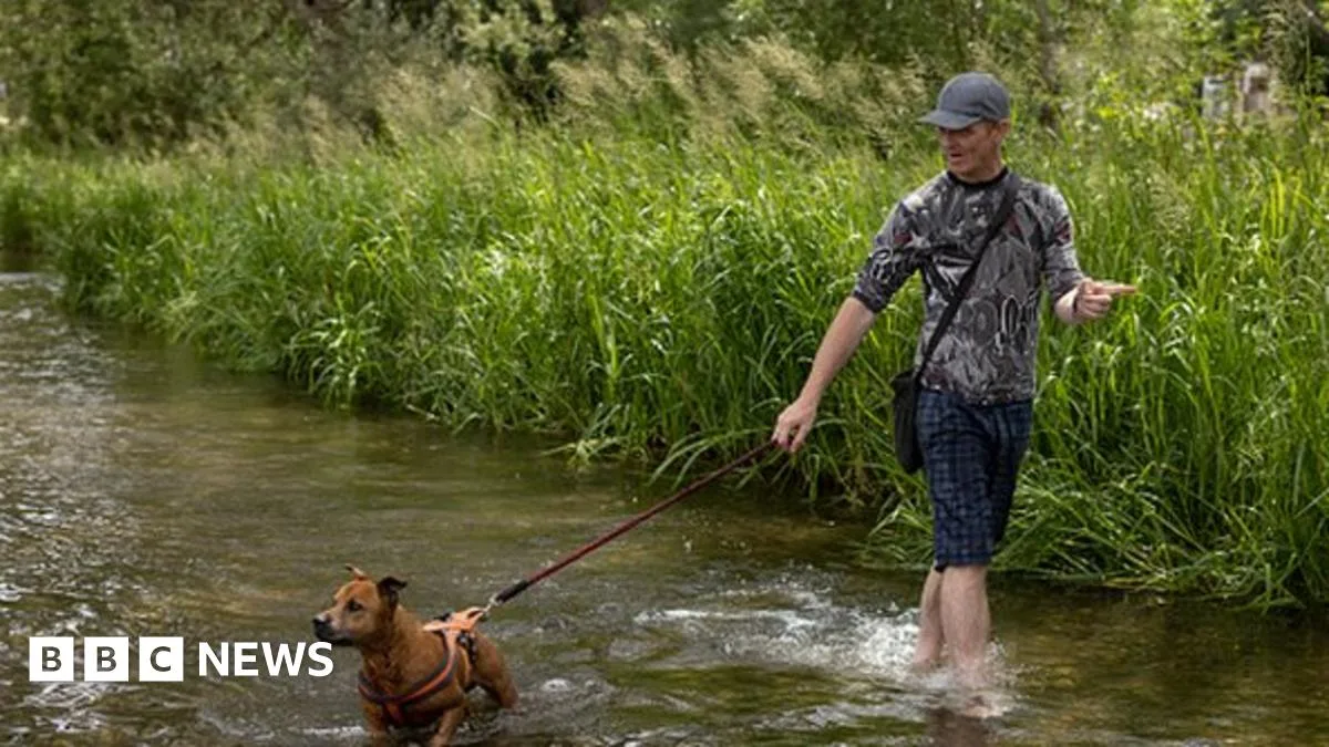 UK Heatwave: Temperatures to Peak on Monday with Amber Warning Issued