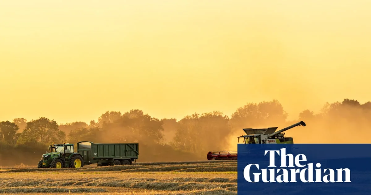 UK Must Stockpile Food for Climate Shocks or War, Expert Warns