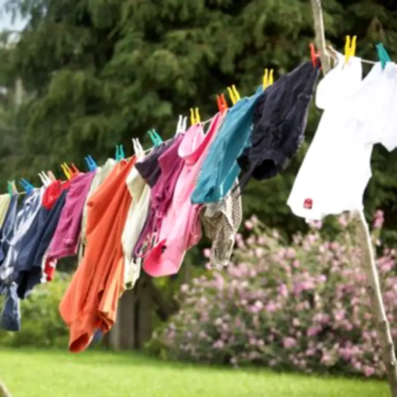 UK households urged not to dry clothes outdoors this week due to pollen alert