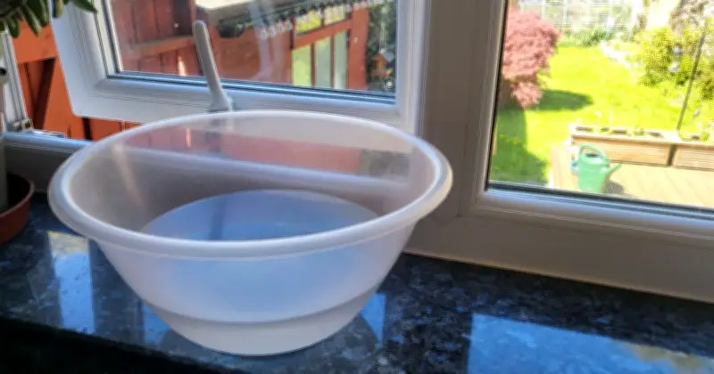 UK households urged to place water bowls on windowsills for cooling this Saturday