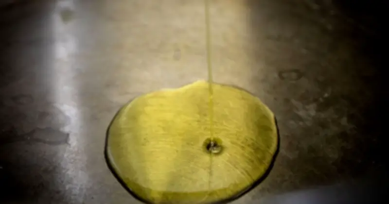 UK Households Warned: Stop Pouring Olive Oil Down Drains to Avoid Costly Blockages