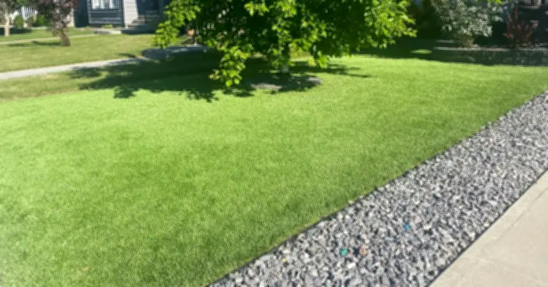 UK Households With Artificial Grass Warned During Heatwave This Week