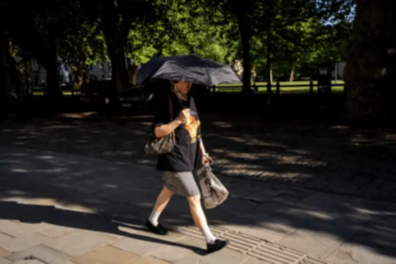 UK June Temperature Record Updated to Provisional 37.7°C in Norfolk