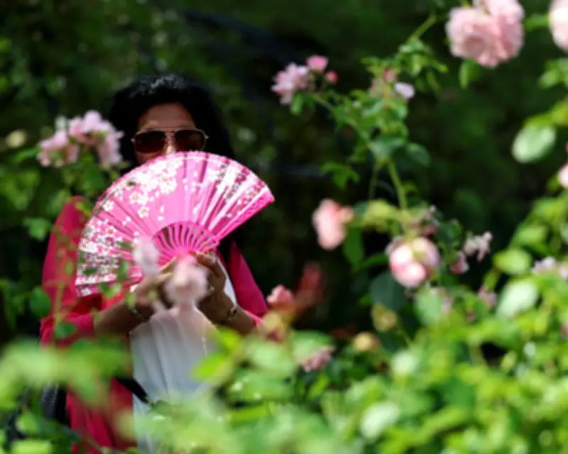 UK Lagging on Extreme Heat Adaptation as Risks Escalate, Warns Guardian Editorial