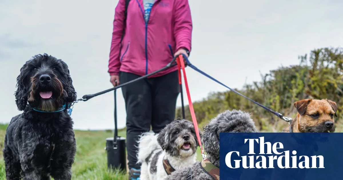 UK Considers Ban on Over-the-Counter Pet Flea Treatments