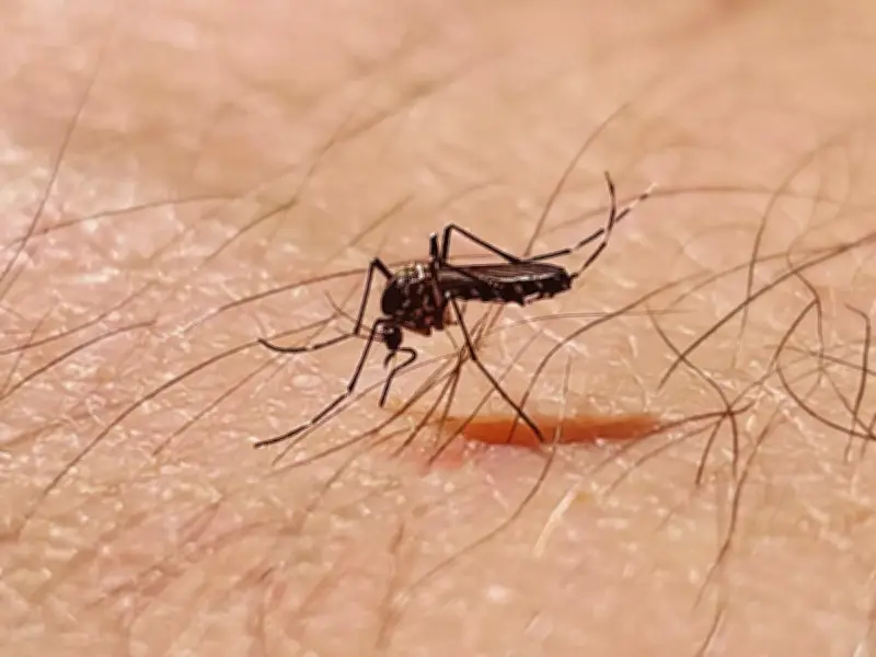 UK Mosquito Swarm Alert: Expert Warns of Bites and Disease Risk