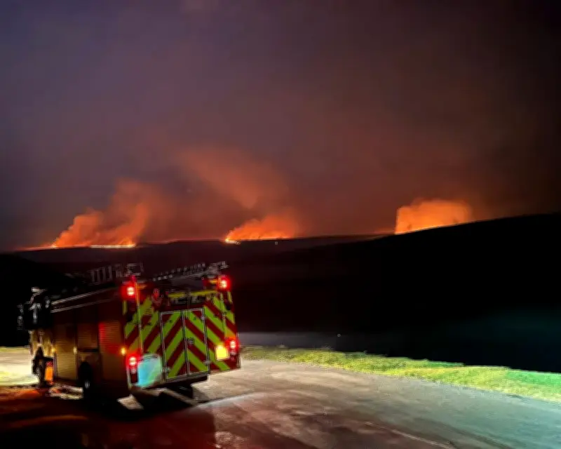 UK Must Protect Landscapes and Wildlife from Intensifying Heatwaves