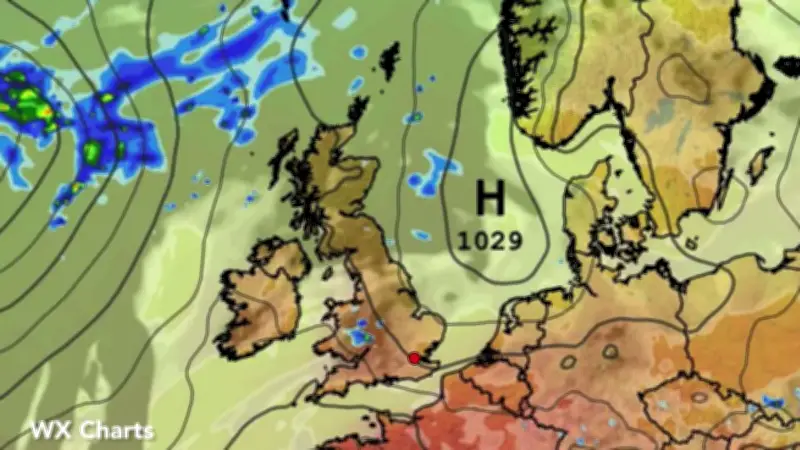 UK Schools Close as Red Heat Warning Issued for 40C Temperatures