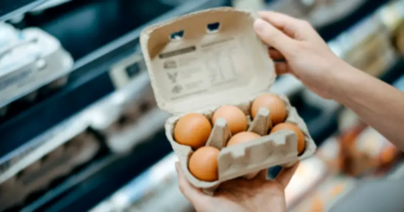 UK Shoppers Warned to Check Eggs for British Lion Mark or Face Salmonella Risk