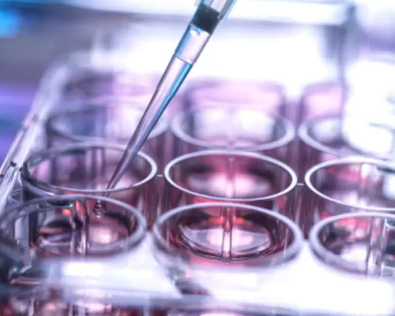 UK stem cell transplant system 'not fit for purpose', MPs warn