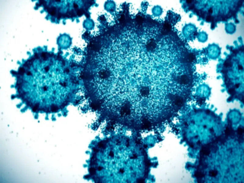 UK Travel Warning After Plague Death in New Mexico as Brits Head to USA for World Cup