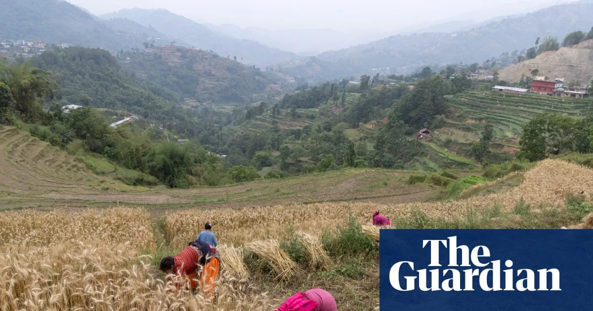 UK Warns of Global Food Crisis as Fertiliser Supplies Dwindle