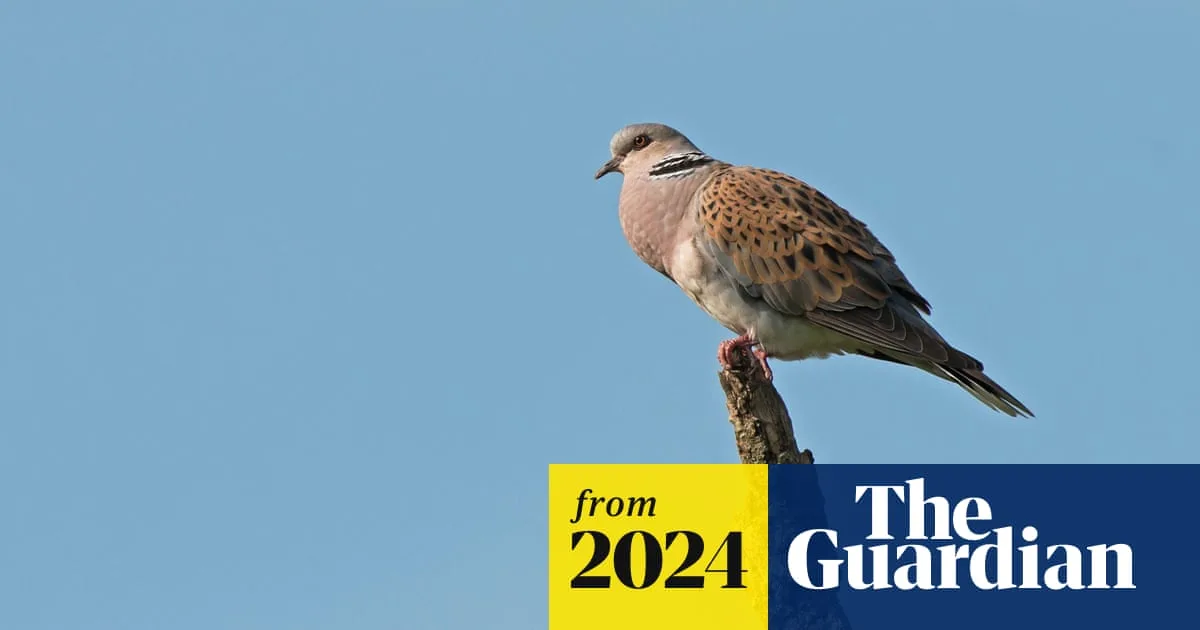 Wild Bird Numbers Continue 'Alarming' Decline in UK, Defra Figures Show