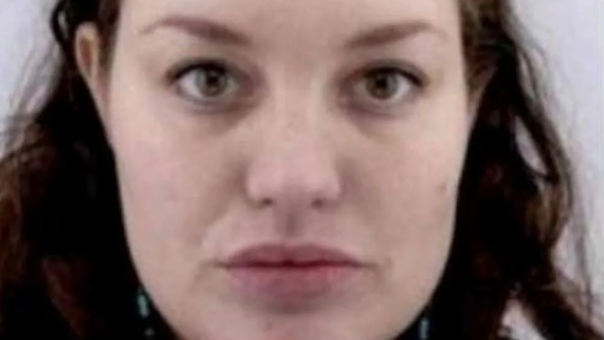Urgent Search for Missing Mother and Newborn After M61 Car Fire