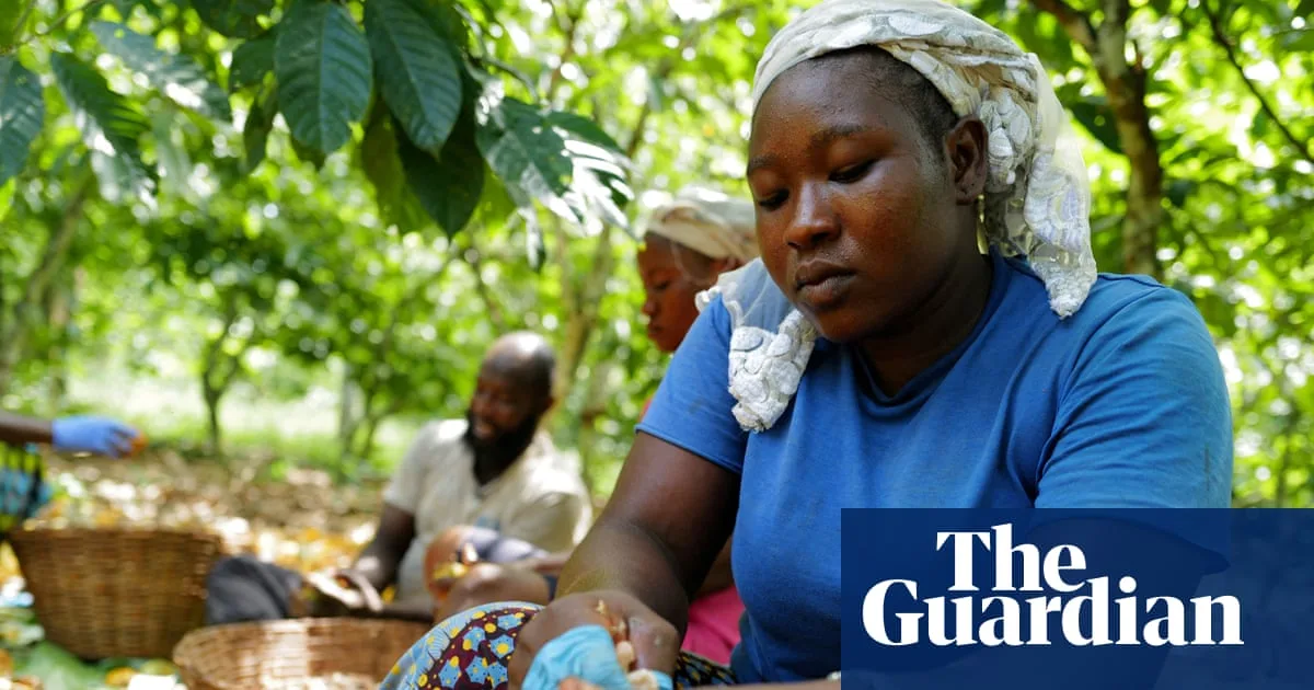 Climate Crisis Driving Food Price Hikes, Threatening Global Stability