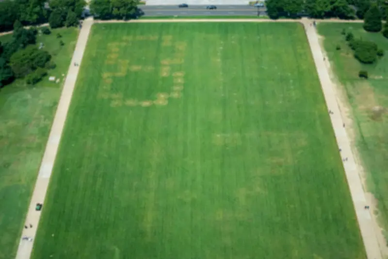 US Probes Huge '8647' Etching on National Mall Grass