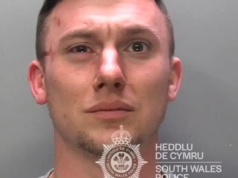 Van Driver Jailed for Attacking Man and Killing Dog with Hockey Stick and Knife
