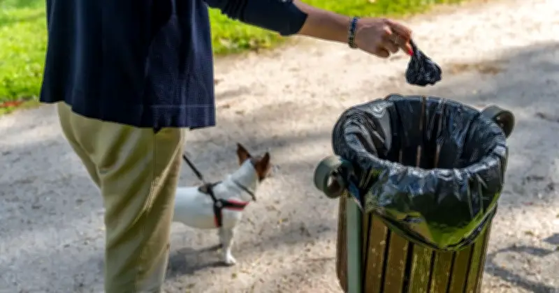Vet Explains Why Dogs Eat Their Own Poop and When to Worry