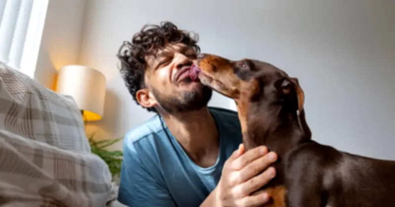 Vet Explains Why Your Dog Licks Your Face, Hands and Feet