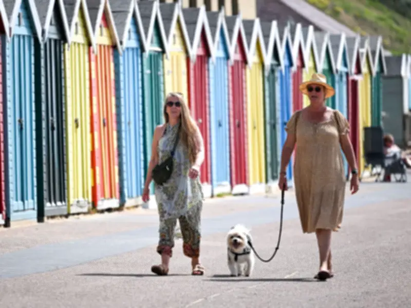 Vet Issues Urgent Heatwave Warning to UK Dog Owners as Temperatures Hit 40C