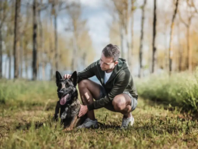 Vet Issues Urgent Warning to Dog Owners About Adder Bites in June