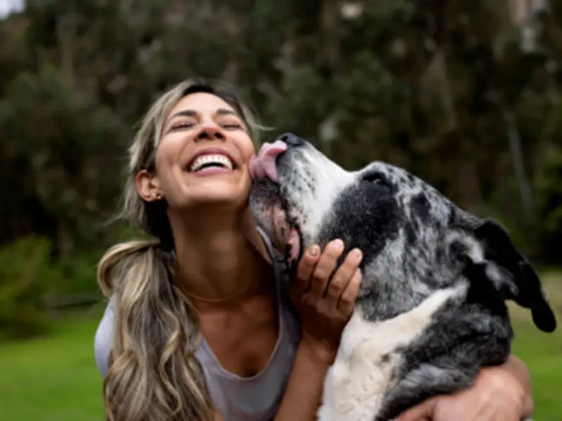 Vet Reveals What Dog Licking Your Face, Hands or Feet Really Means