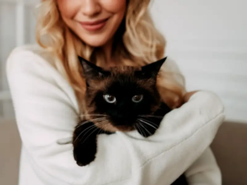 Vet Warns Cat Owners of 'Two-Minute Check' That Could Save Pet's Life