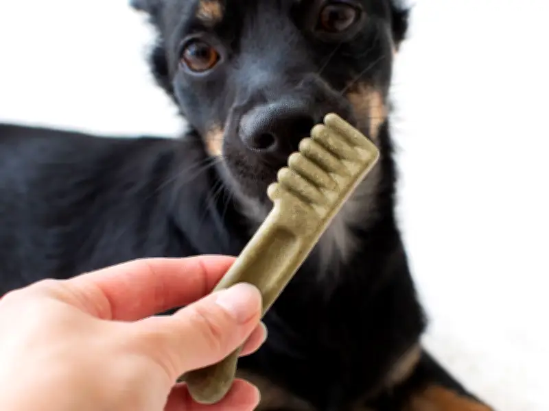 Vet Warns Dog Owners: Dental Chews May Be Ineffective, Try This Instead