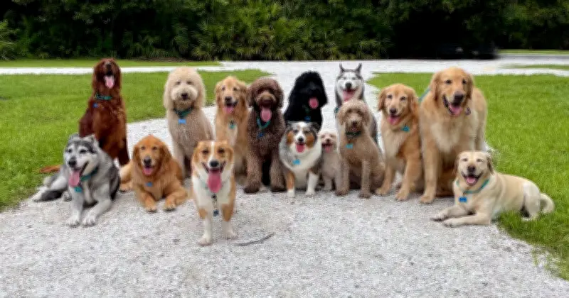 Veterinarian Reveals 5 Dog Breeds She Would Never Own as Pets