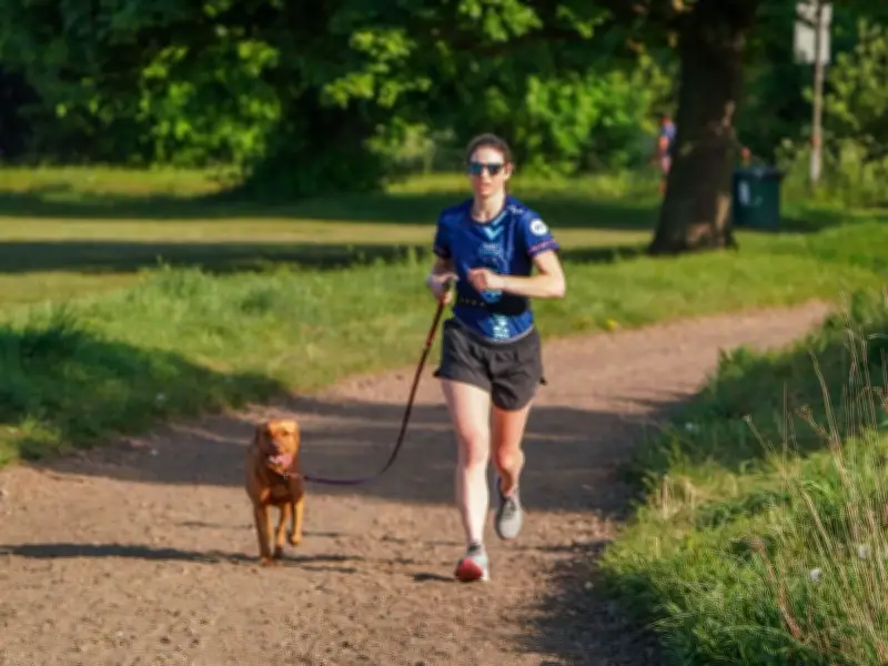 Vets' 7-Second Pavement Test for Dog Walking in UK 40C Heatwave