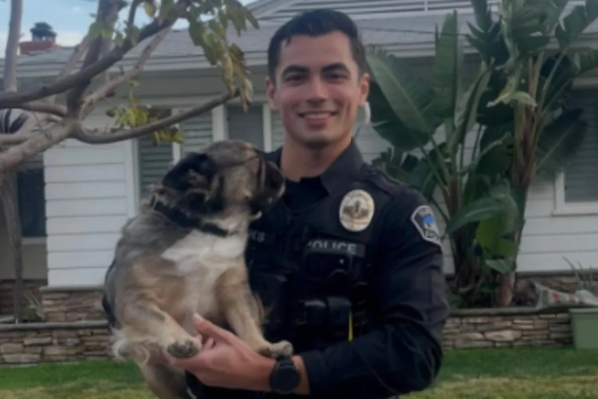 California Officer's Cuddly Canine Encounter Melts Hearts Online