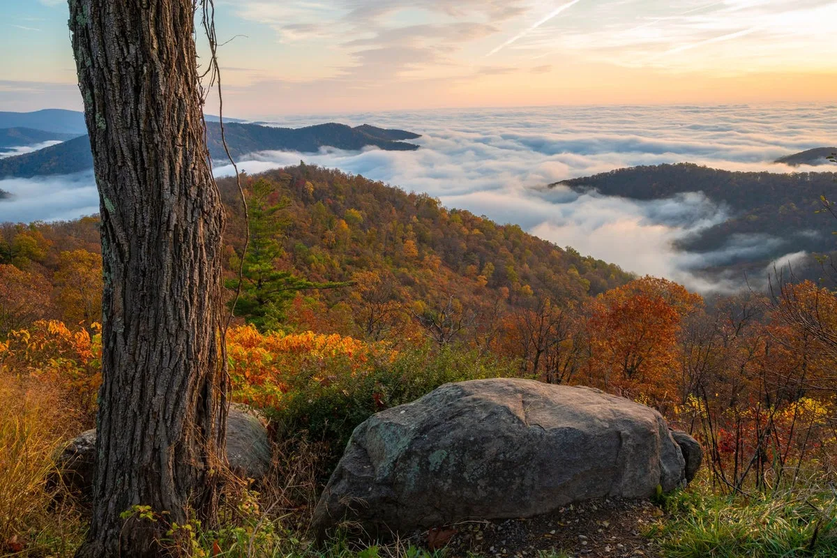 Virginia Road Trip: From Mountains to Coast at a Leisurely Pace