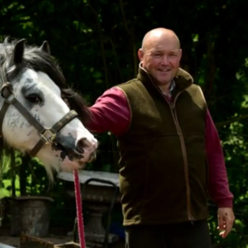 Wales' gypsy horse king jailed for possessing horse feed in breach of ban