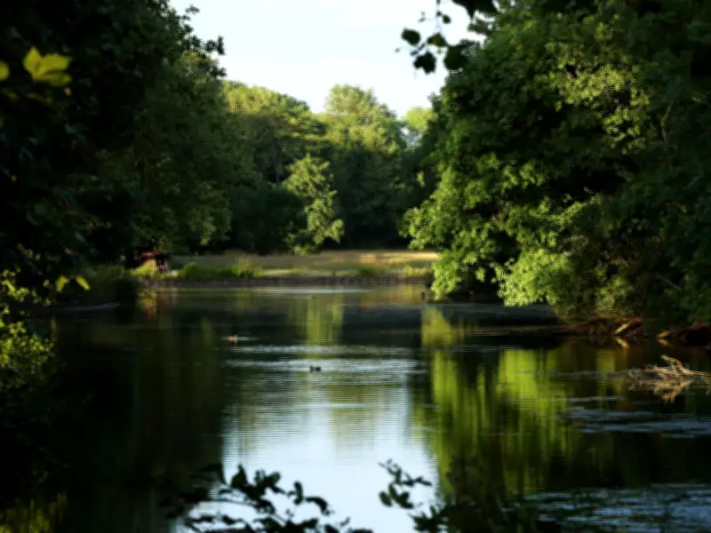 Walton Hall Park: Liverpool's Unheralded Gem of a Green Space