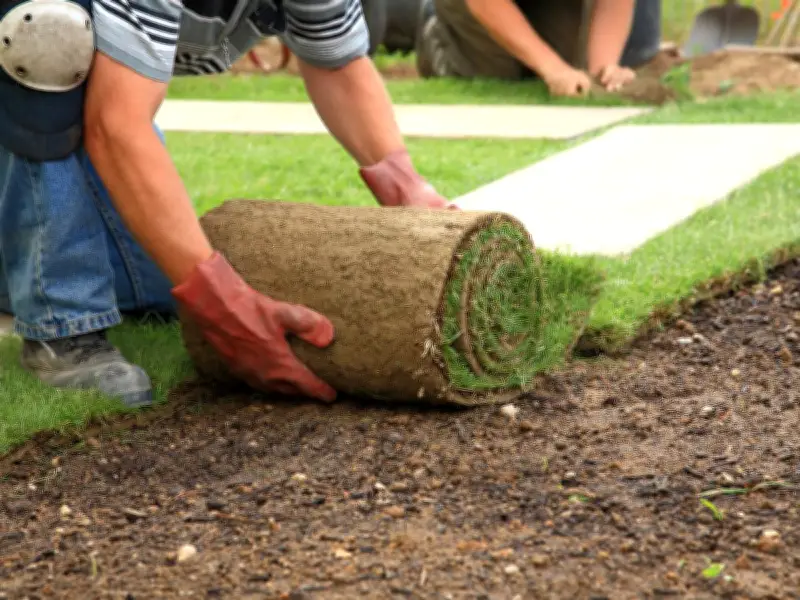 Warning to UK households with artificial grass amid extreme heatwave