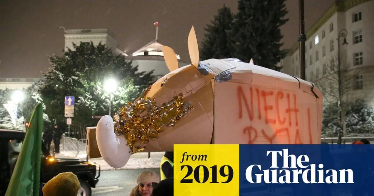 Poland Faces Backlash Over Plan to Cull 185,000 Wild Boars