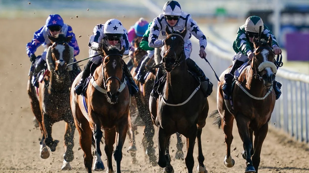 Wave Rock and Huckleberry Sting Lead Newsboy's Monday Tips