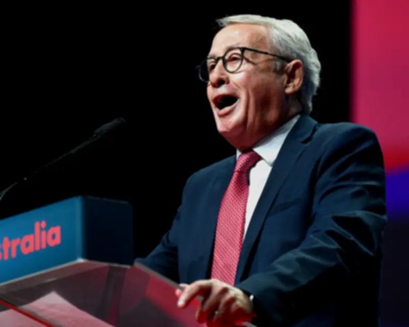 Wayne Swan likens Hanson to Trump, warns Labor must resist One Nation's 'dark' vision