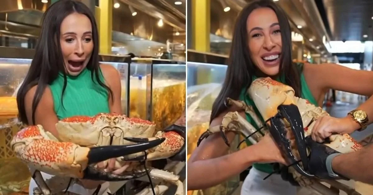 Weather Presenter Hospitalised After On-Air Crab Attack