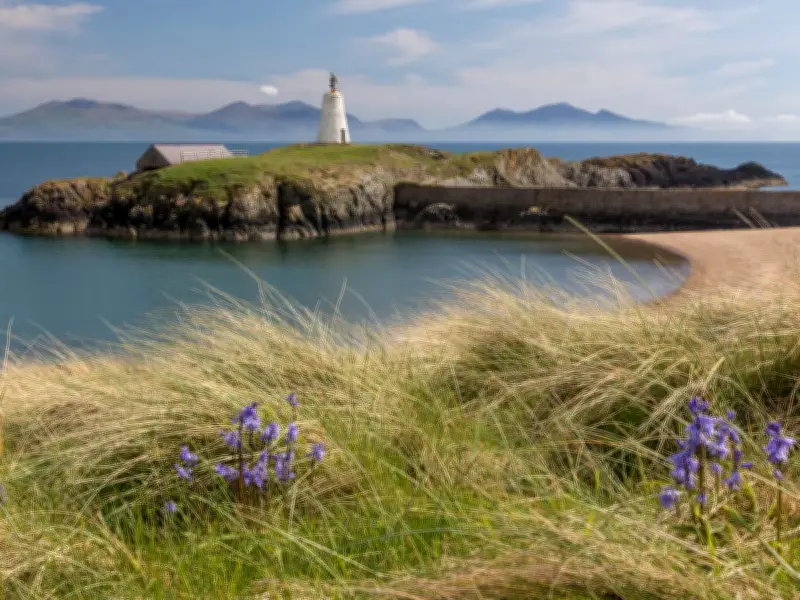Welsh Beach Where Forest Meets Sea Named UK's Most Beautiful