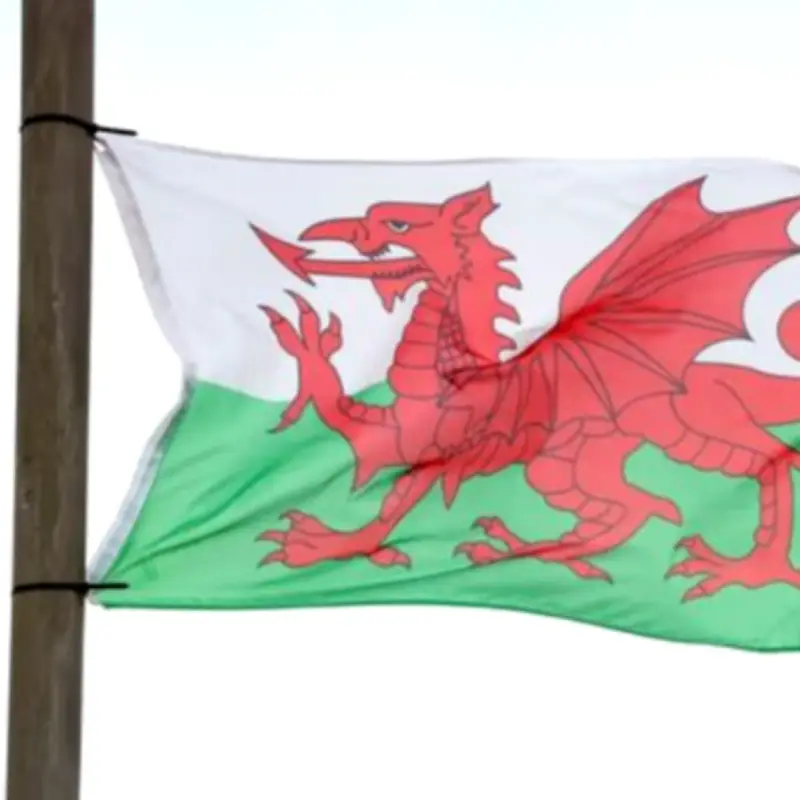 Welsh flag row: Campaigners demand removal from Wrexham lampposts