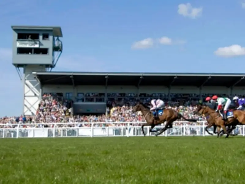 Welsh horse racing cancelled as extreme heatwave hits UK