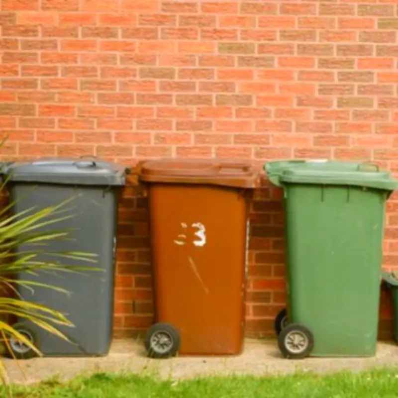 Welsh households urged to line wheelie bins with cardboard to stop flies