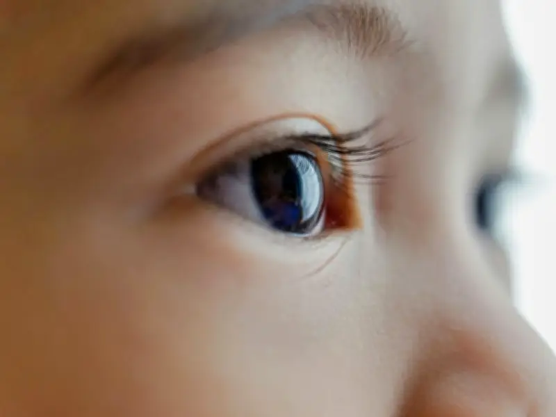 West Lothian Eye Experts Urge Parents to Prioritise Children's Eye Tests