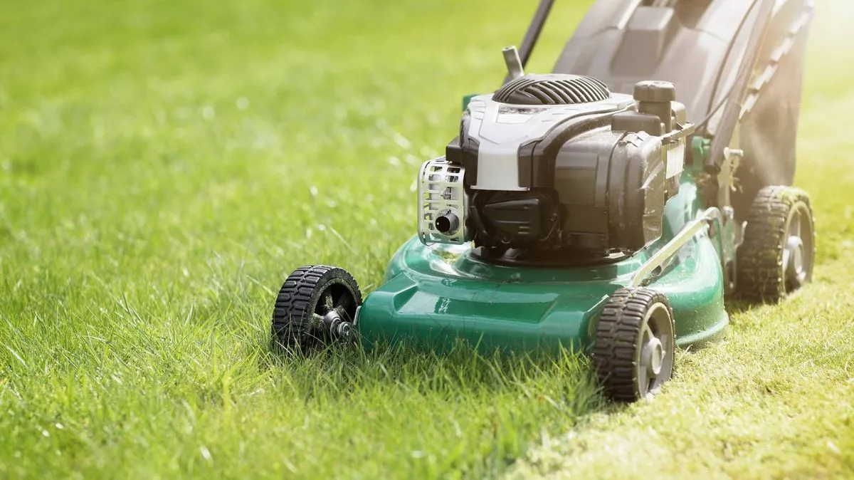 Experts Reveal Exact Date to Start Mowing Your Lawn in 2026