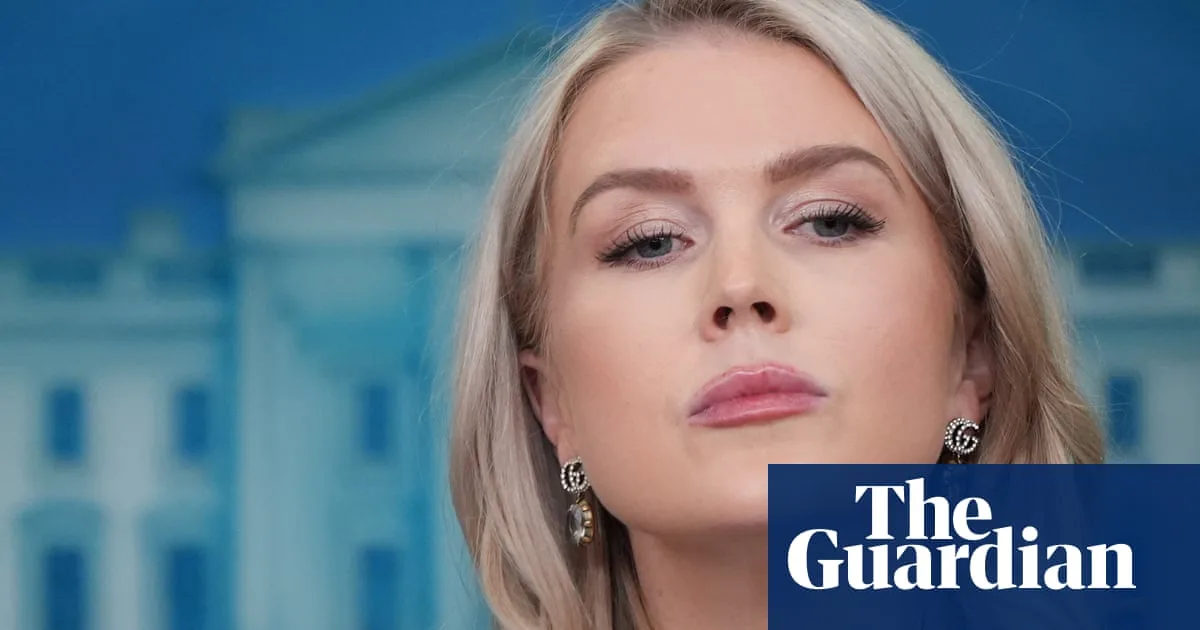 White House Press Secretary Dismisses Epstein Emails as 'Manufactured Hoax'